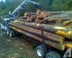 [Hearth.com] Stove chow! Latest method of log load delivery.