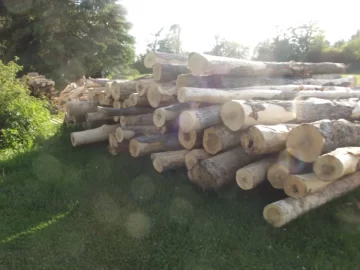 [Hearth.com] Stove chow! Latest method of log load delivery.