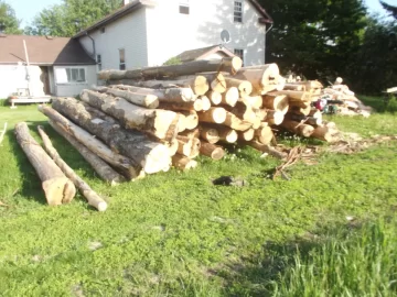 [Hearth.com] Stove chow! Latest method of log load delivery.