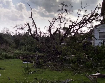 [Hearth.com] Dayton Tornadoes