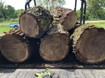 [Hearth.com] Oak moisture after being down 15 years