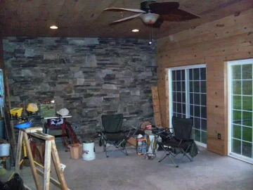 [Hearth.com] Stone veneer or cheaper option?