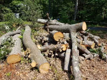 [Hearth.com] white and red oak score