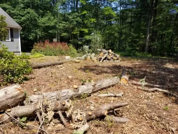 [Hearth.com] white and red oak score