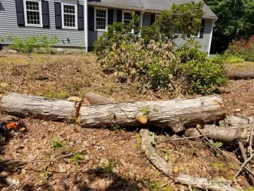 [Hearth.com] white and red oak score