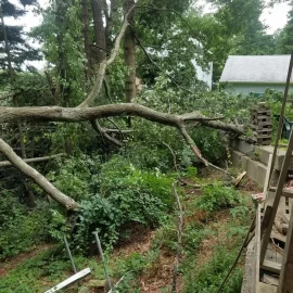 [Hearth.com] PSA: Sudden Oak limb drop from excessive summer heat