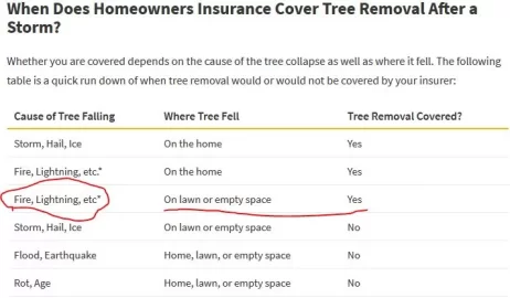 [Hearth.com] PSA: Sudden Oak limb drop from excessive summer heat