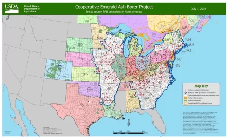 [Hearth.com] Emerald Ash Borer in North Carolina