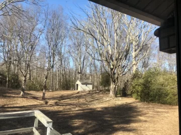 [Hearth.com] Monster tree in my backyard.