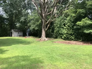 [Hearth.com] Monster tree in my backyard.