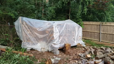 [Hearth.com] Solar kiln for hardwoods part deux