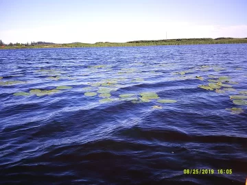 [Hearth.com] Tandem kayak - lake use