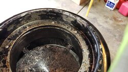 How to avoid this rain cap creosote buildup?