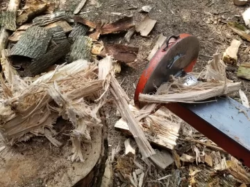 [Hearth.com] This is why I don't split green elm in the summer