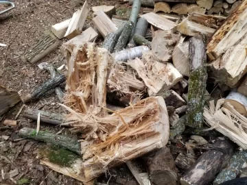 [Hearth.com] This is why I don't split green elm in the summer