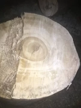 [Hearth.com] Wood ID . Is this white ash?