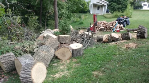 [Hearth.com] Wood ID . Is this white ash?