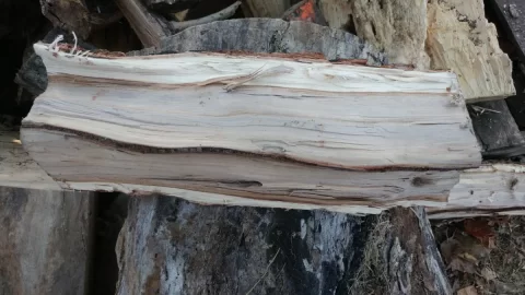 [Hearth.com] OK, whaddya think THIS wood is?