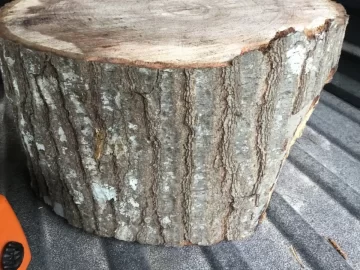 [Hearth.com] Need help Identifying wood