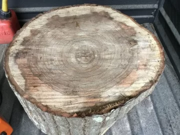 [Hearth.com] Need help Identifying wood