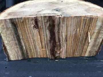 [Hearth.com] Need help Identifying wood