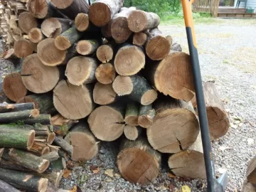 [Hearth.com] Help with "Hickory" bark ID? Edit; The call is Elm.