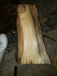 Received free wood! Have some question...