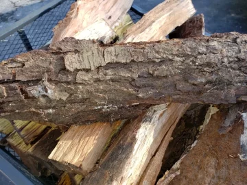 [Hearth.com] Received free wood! Have some question...