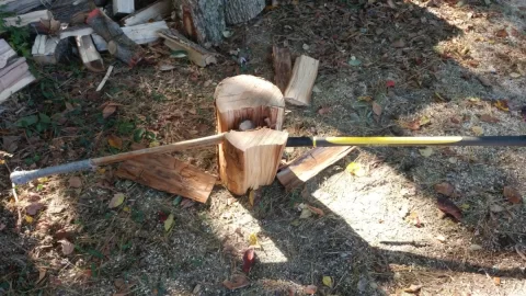 [Hearth.com] Help with "Hickory" bark ID? Edit; The call is Elm.