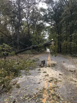 [Hearth.com] Oct 16 / 17 2019 Nor'Easter