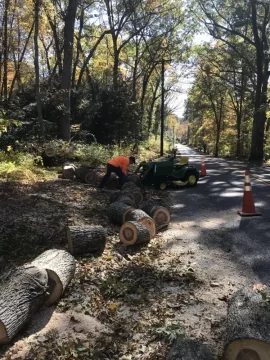 [Hearth.com] Oct 16 / 17 2019 Nor'Easter