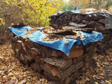 [Hearth.com] white and red oak score