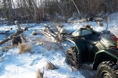 [Hearth.com] Frozen swamp logging, pics