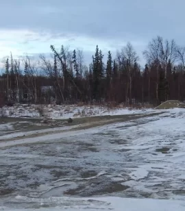 [Hearth.com] Tree felling on a tree tee-pee? How to salvage a wind blown tree.