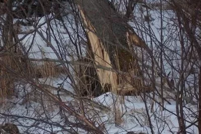 [Hearth.com] Tree felling on a tree tee-pee? How to salvage a wind blown tree.