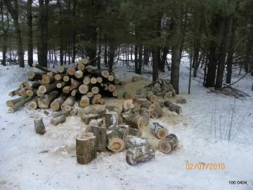 [Hearth.com] Started to cut the log length.