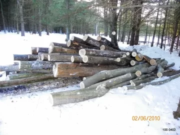 [Hearth.com] Started to cut the log length.