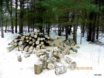 [Hearth.com] Working on the Log length.