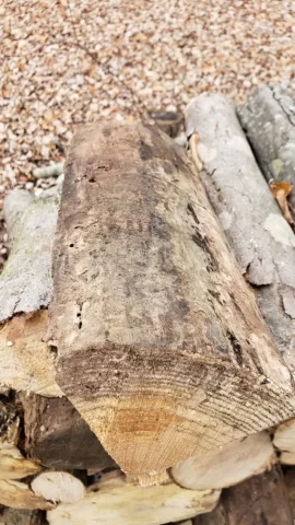 [Hearth.com] Wood rot