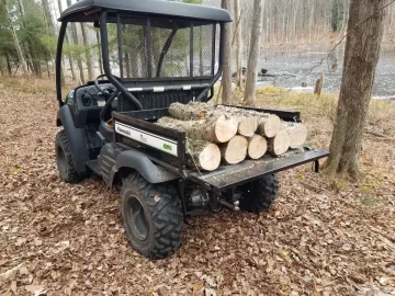 [Hearth.com] My four legged tree service