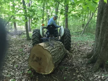 [Hearth.com] White oak vs red oak.  