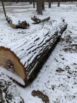 [Hearth.com] White oak vs red oak.  