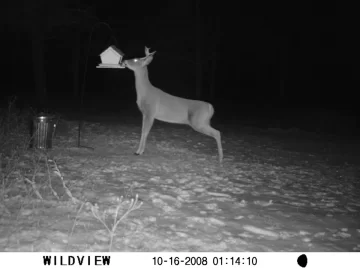 [Hearth.com] Who is getting ready for deer season?