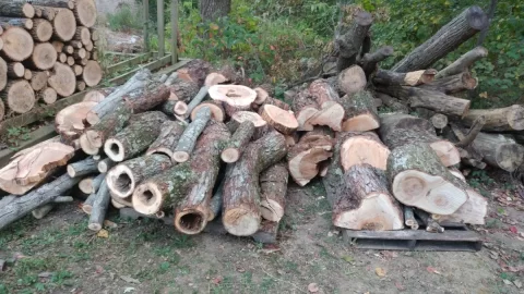 [Hearth.com] Elm, Sweetgum drying time.