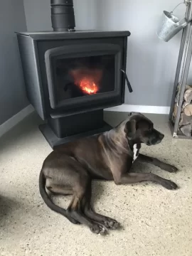 [Hearth.com] What's that smell? Oh Sh*t, the dogs on fire!!