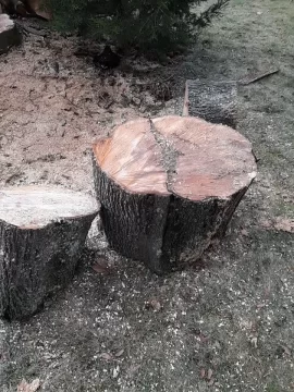 [Hearth.com] Tree taken down last week