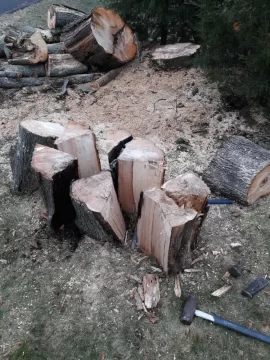 [Hearth.com] Tree taken down last week