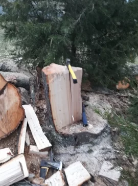 [Hearth.com] Tree taken down last week