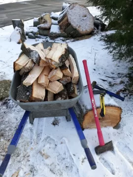 [Hearth.com] Tree taken down last week