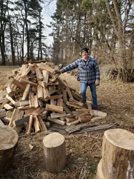 [Hearth.com] Chinese elm